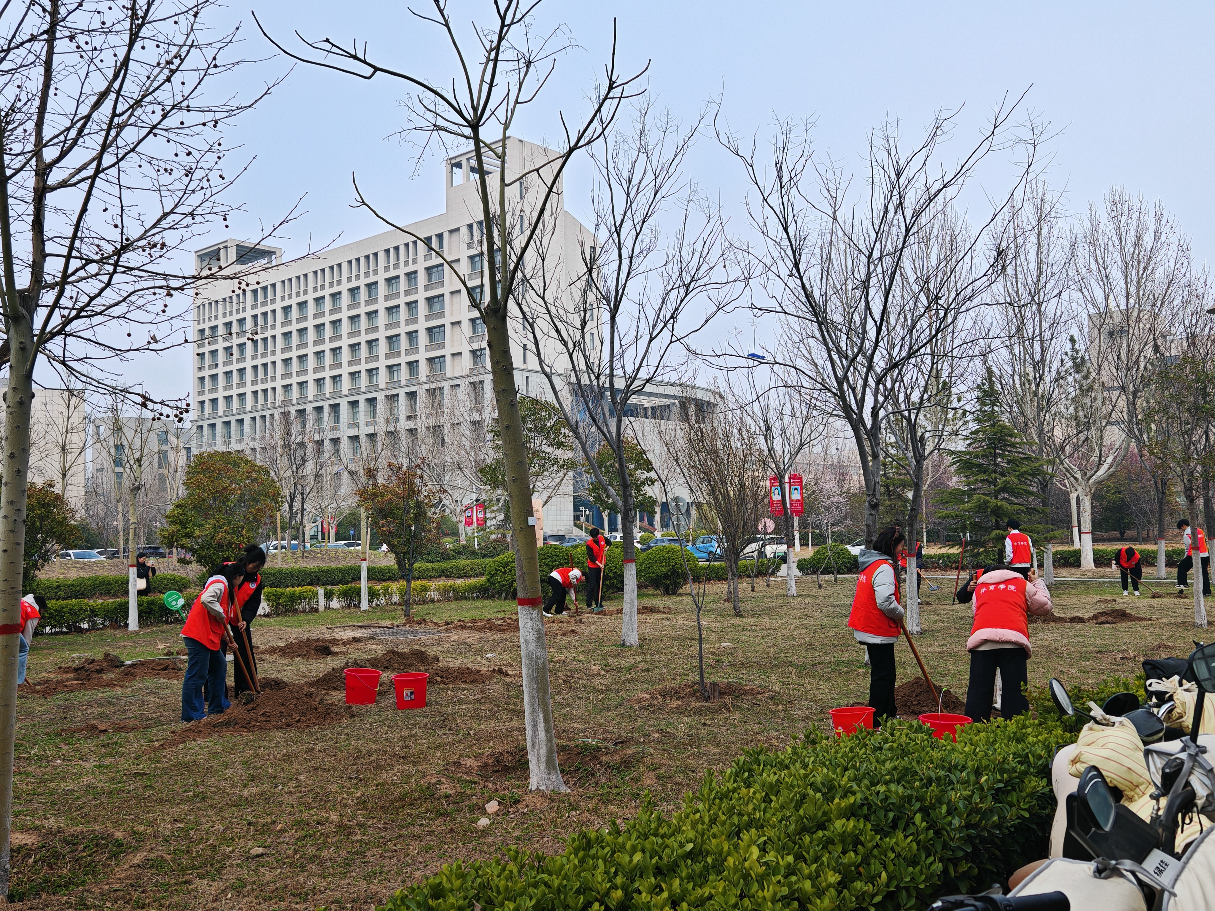 体院20260312植树节 (3)