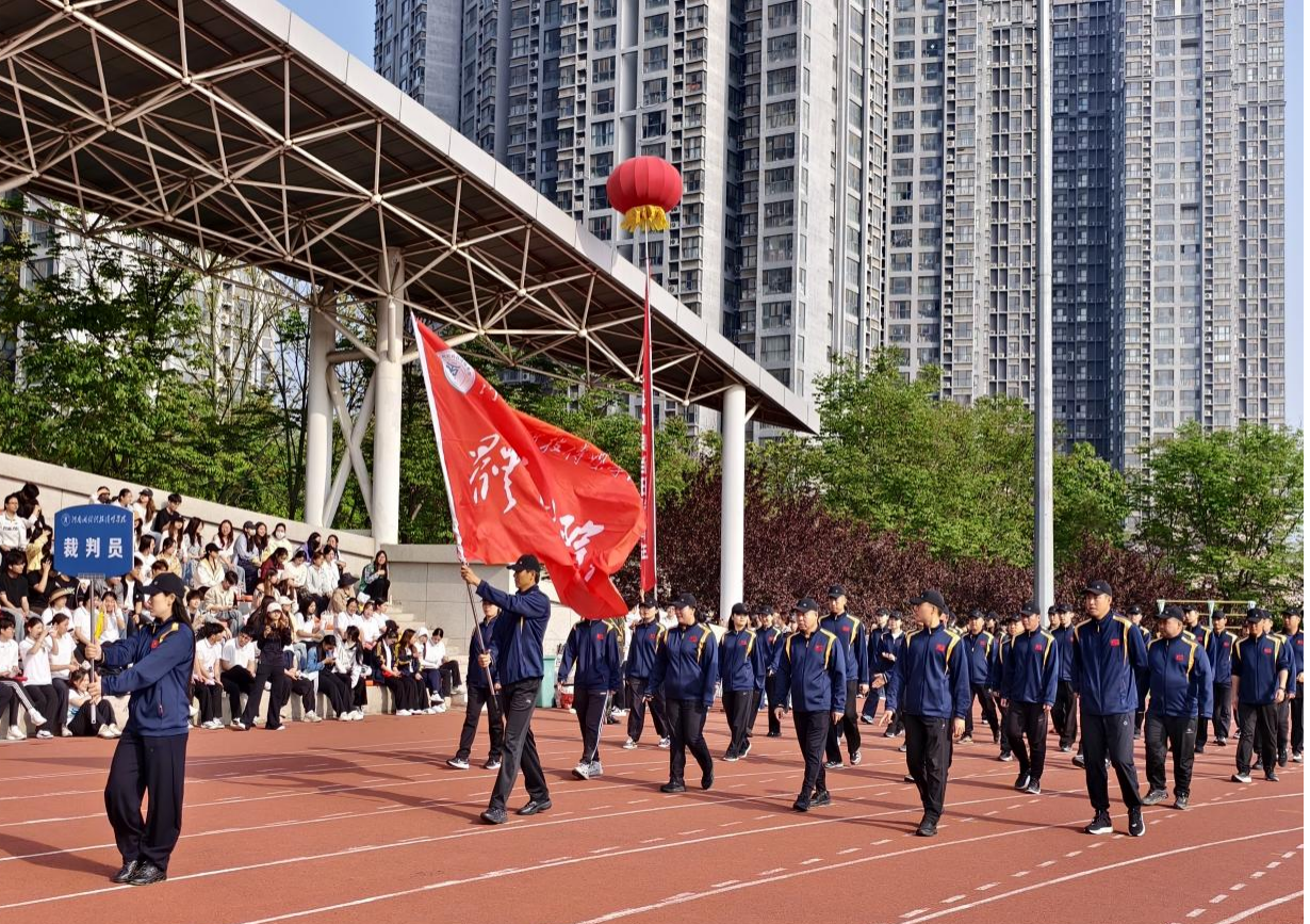 图片13
