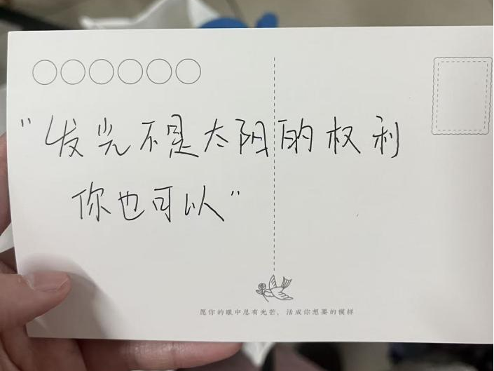 图片11