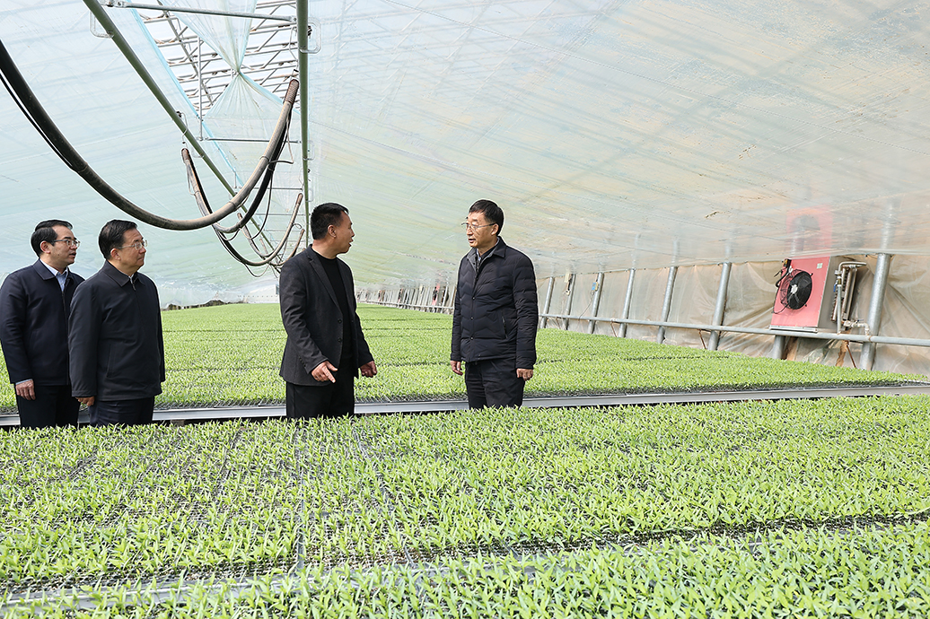 刘宁到内黄县安阳县调研推动工作时强调 毫不放松抓好粮食生产 全力夯实夏粮丰收基础