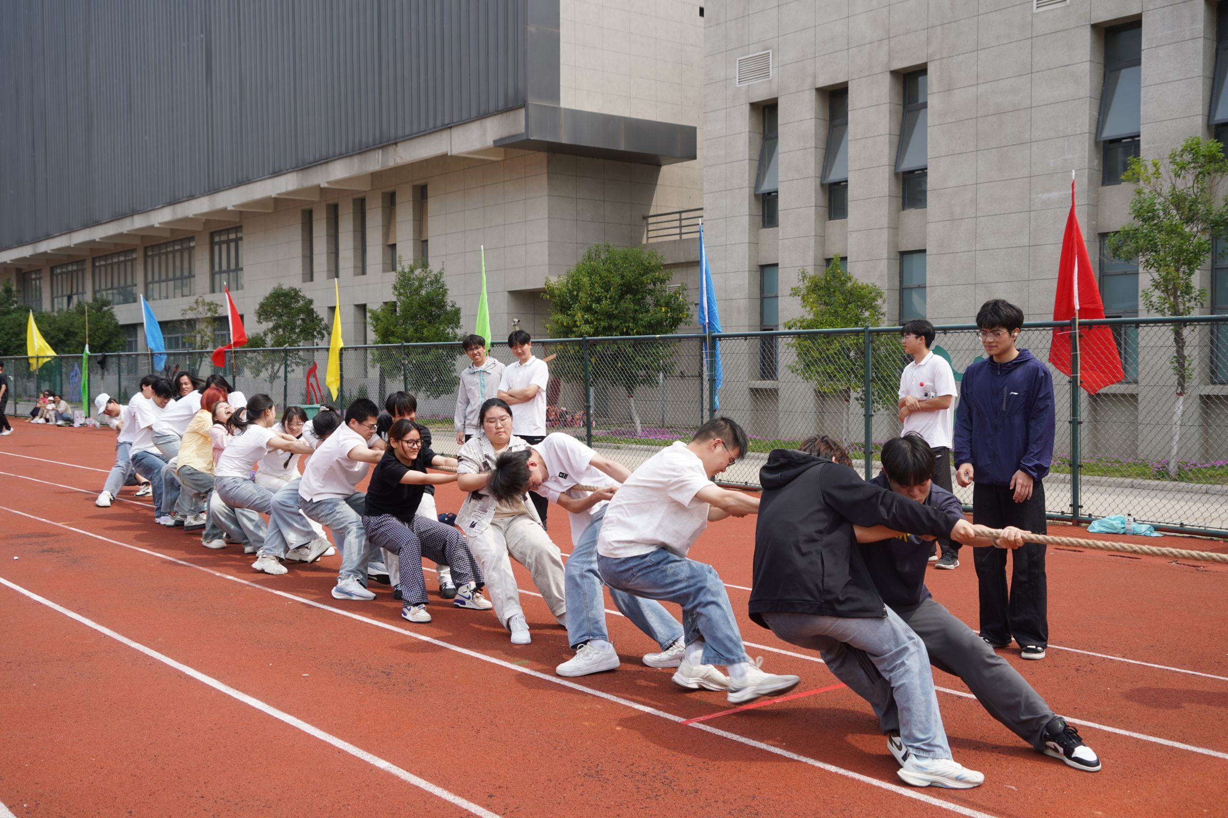 运动会拔河