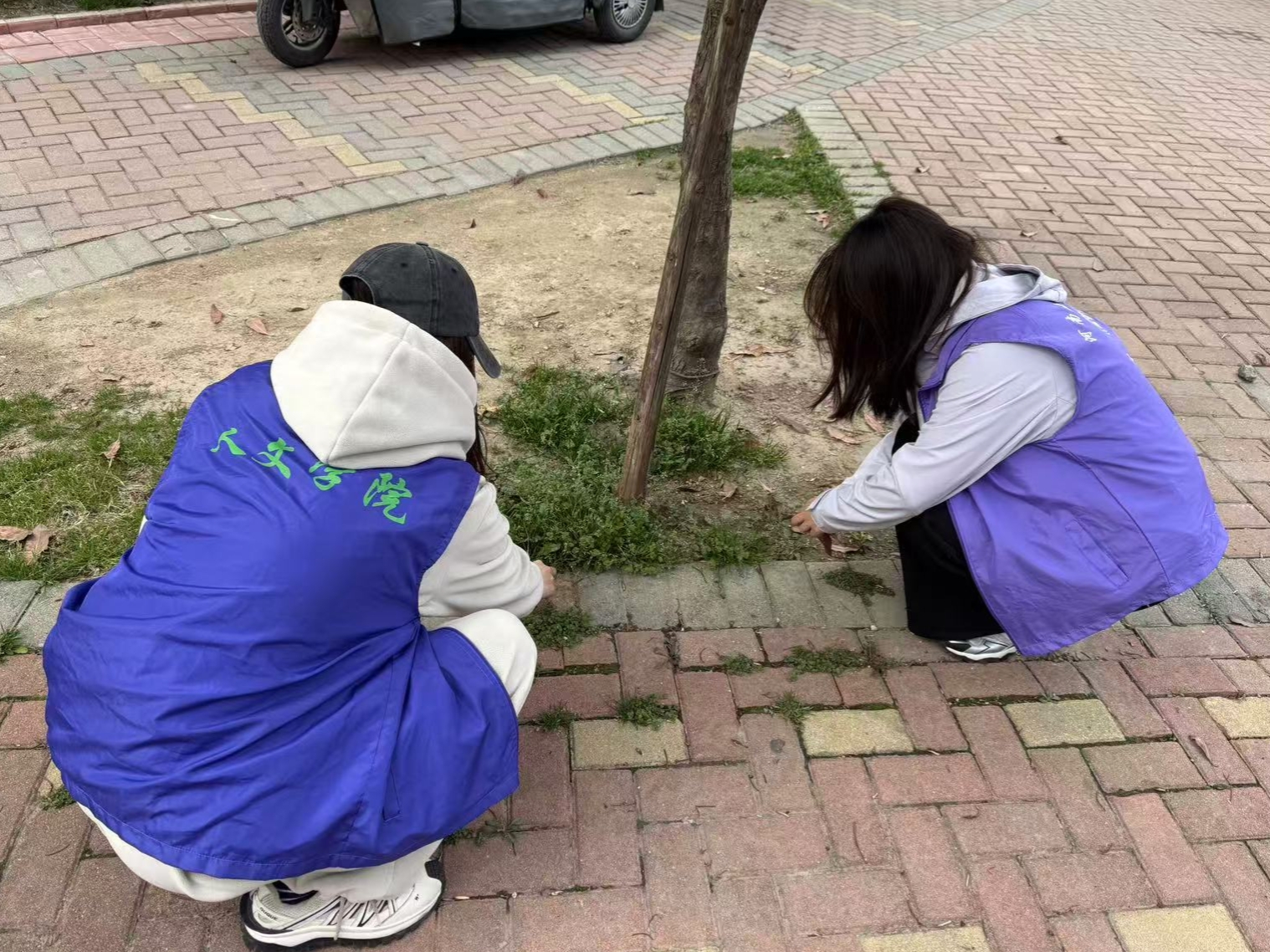 微信图片_2026-03-28_190815_041