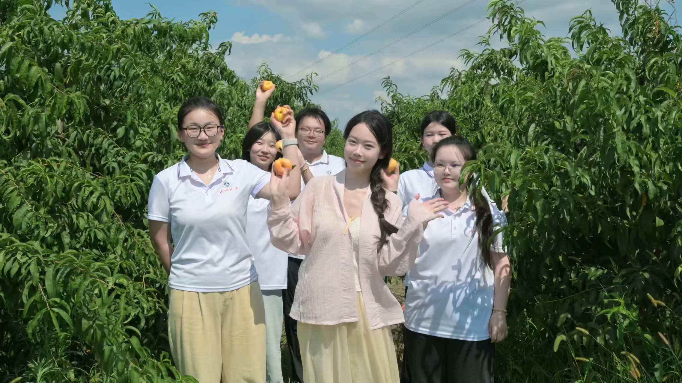 微信图片_20260713150200_649_247