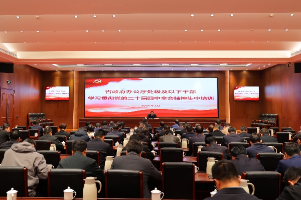 微信图片_20260310180901_270_75_副本_副本_副本