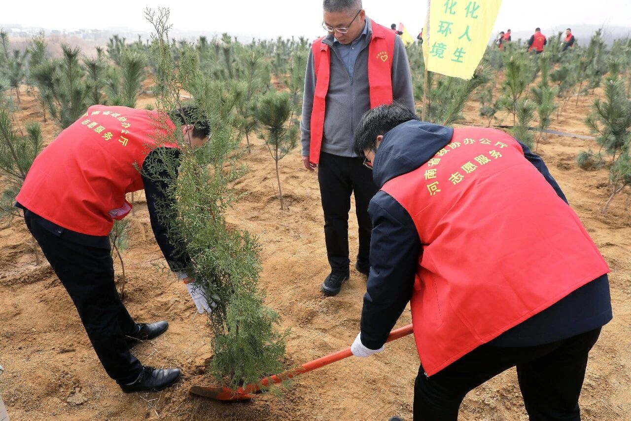 5a8cf83be3ed4c5d9ae57eb6e87d1906