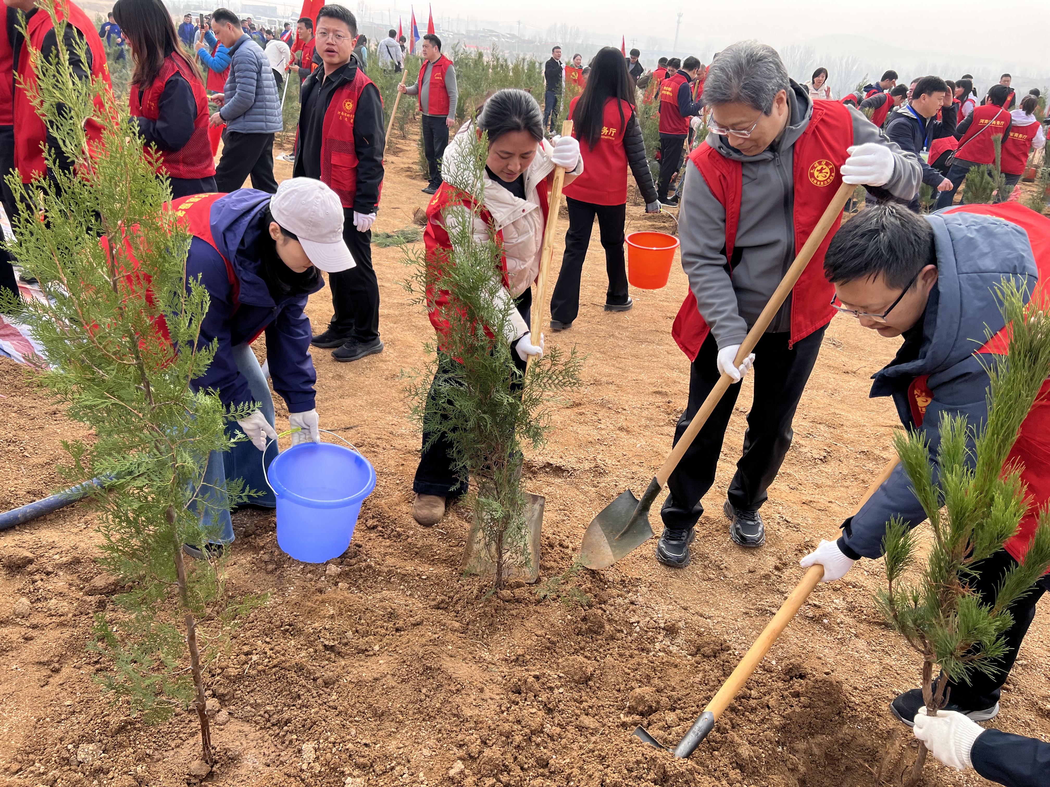 微信图片_20260313083629_1040_30