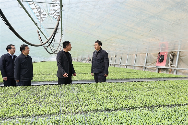 20260316书记替换图_s