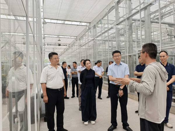 图片27_副本