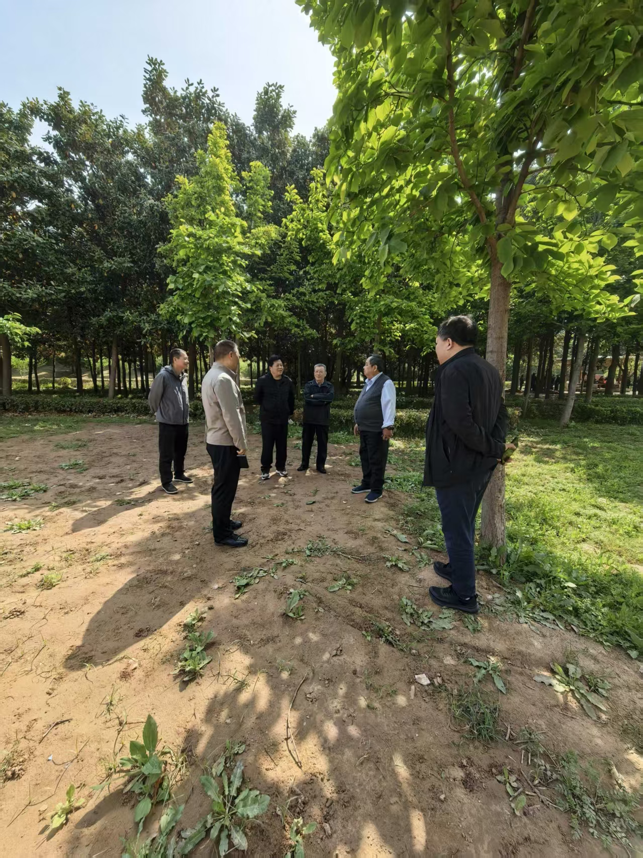 澳门新威斯尼斯人平台