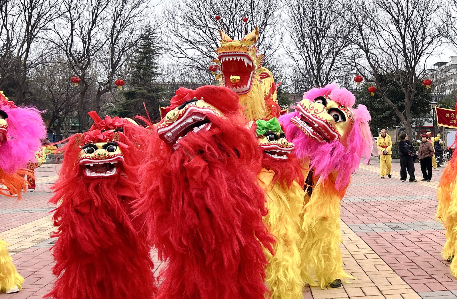 商酒务镇活动照片 (2)