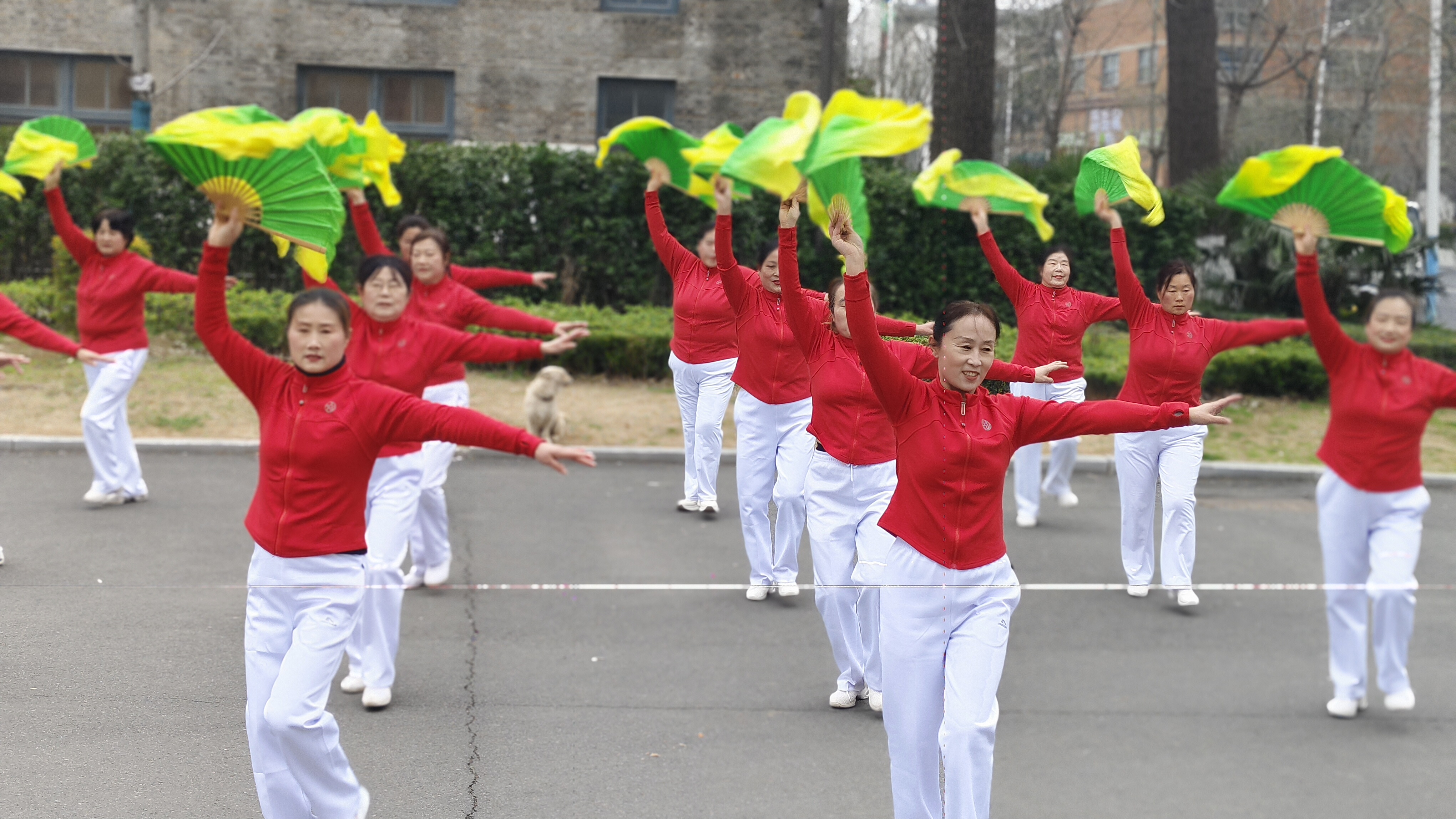 微信图片_20260306184727_197_382