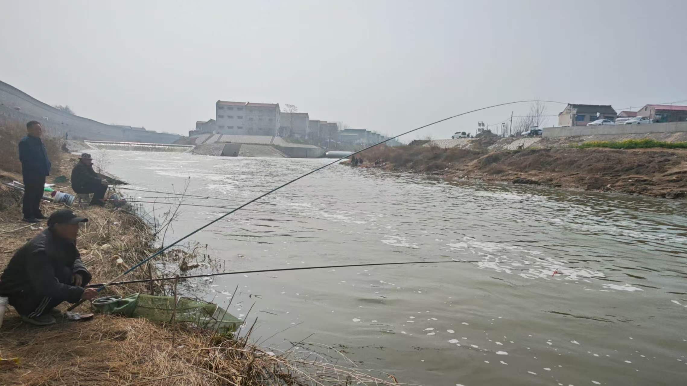 古城运河钓鱼翁2