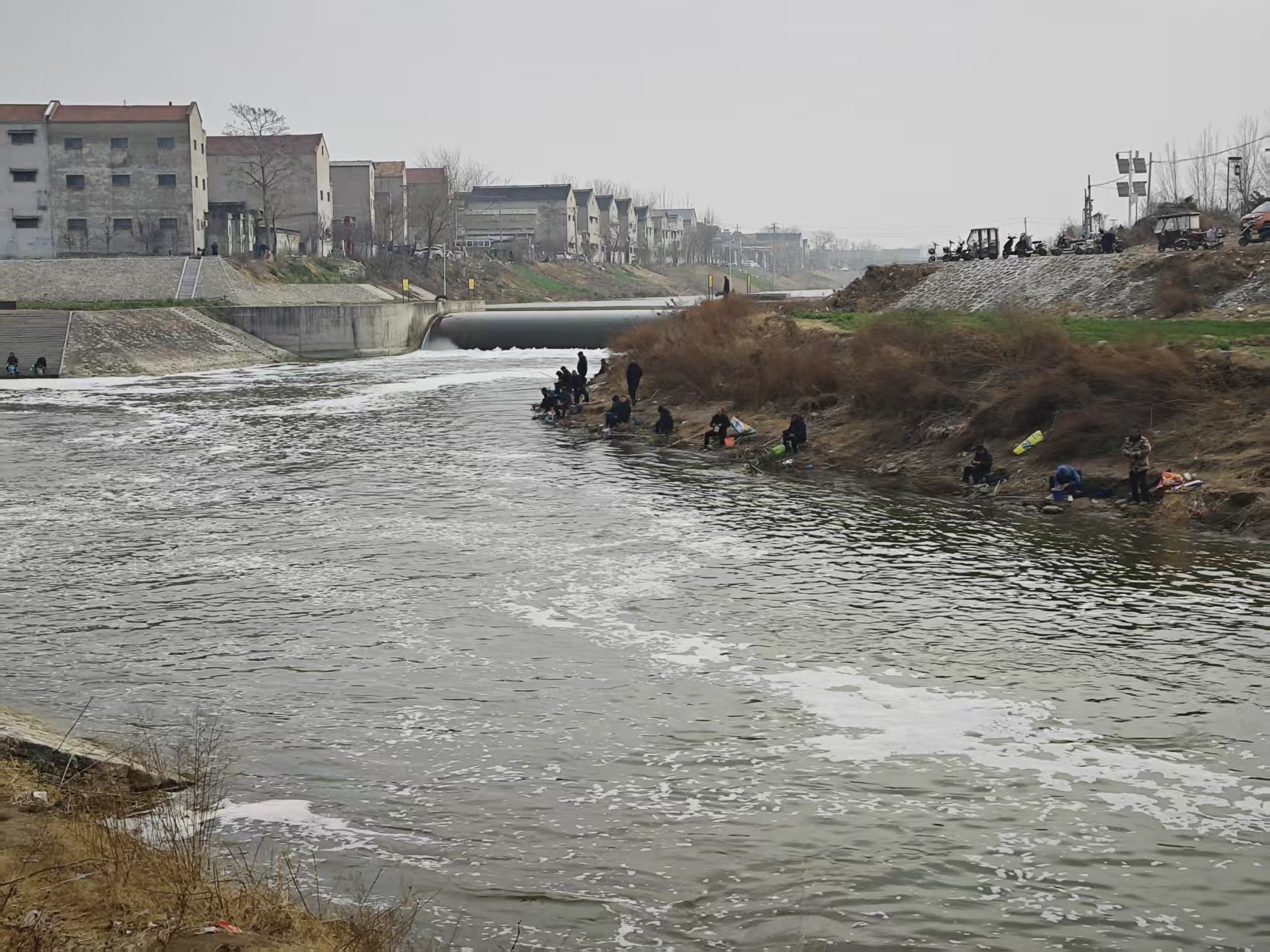 古城运河钓鱼翁3