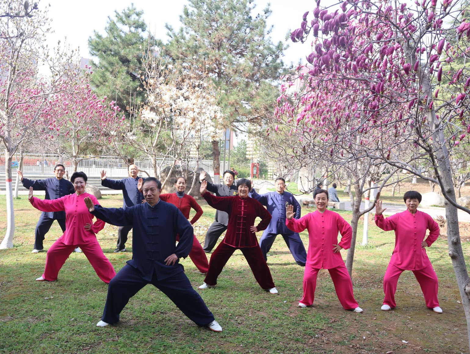 mmexport1774050732033