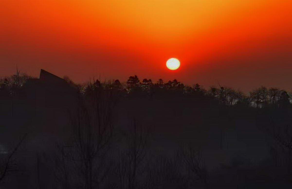 微信图片_20260331085907