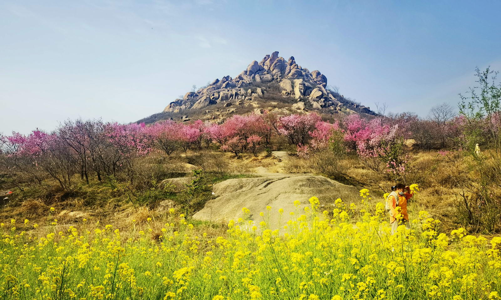 微信图片_20260331085837