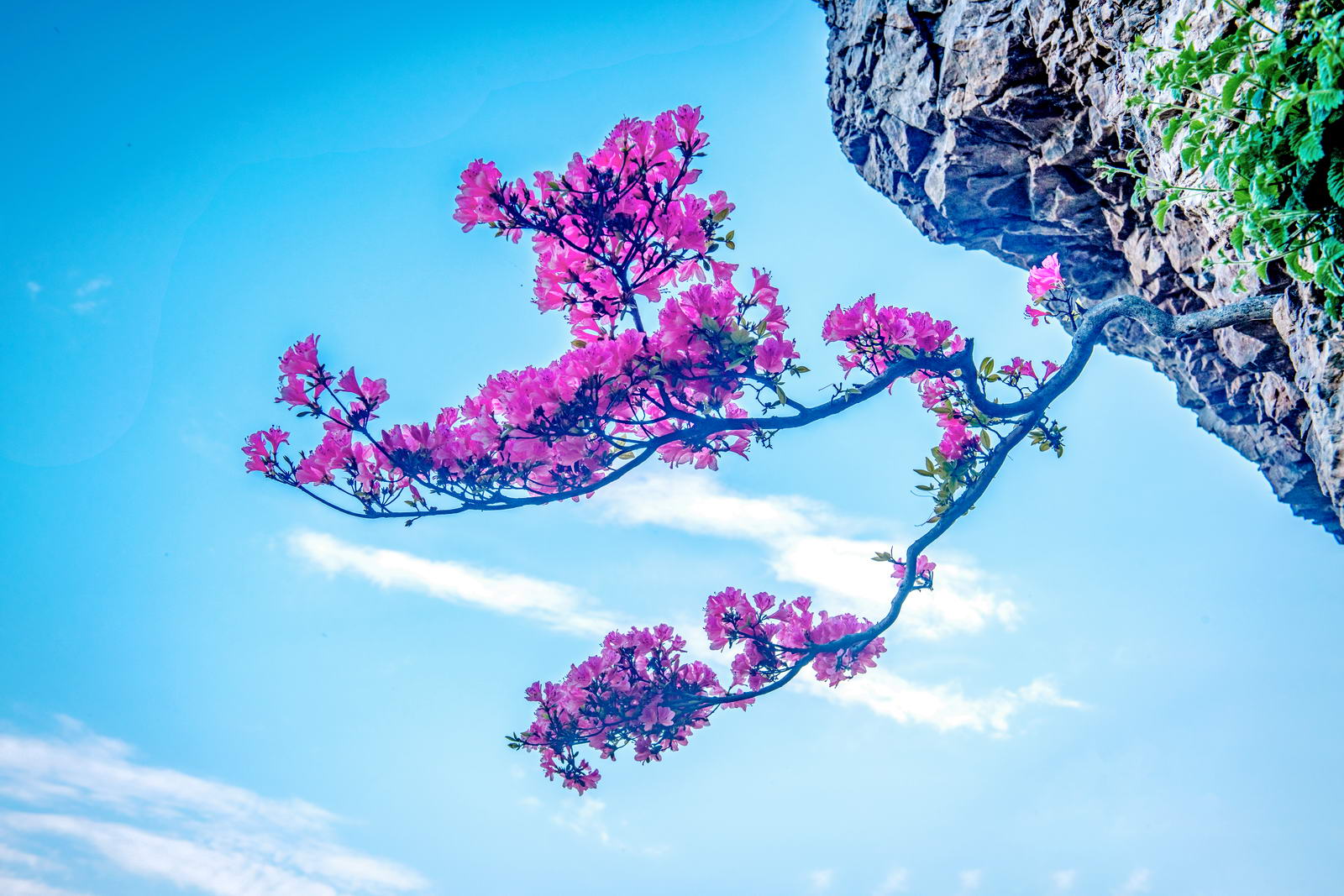 微信图片_20260410085844