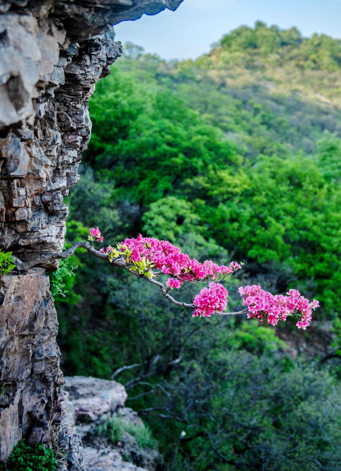 微信图片_20260410085911