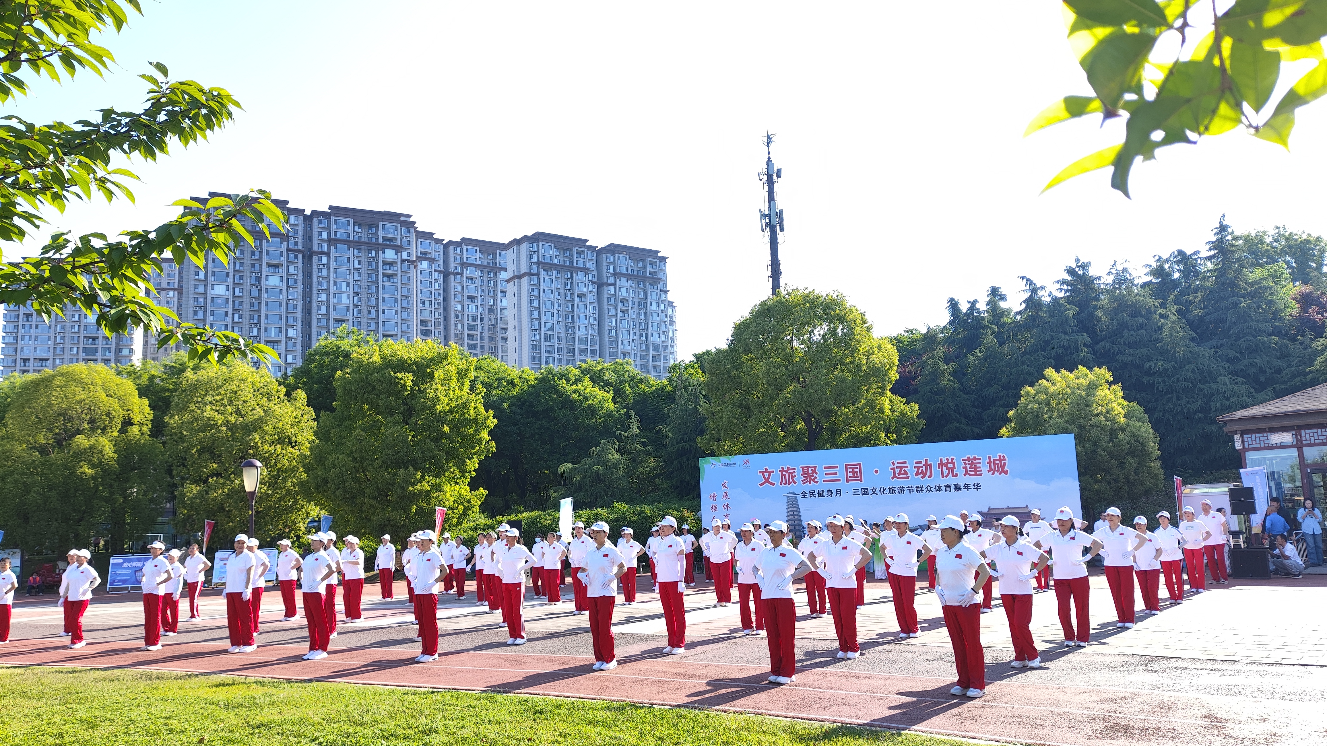 微信图片_20260506111530_244_3
