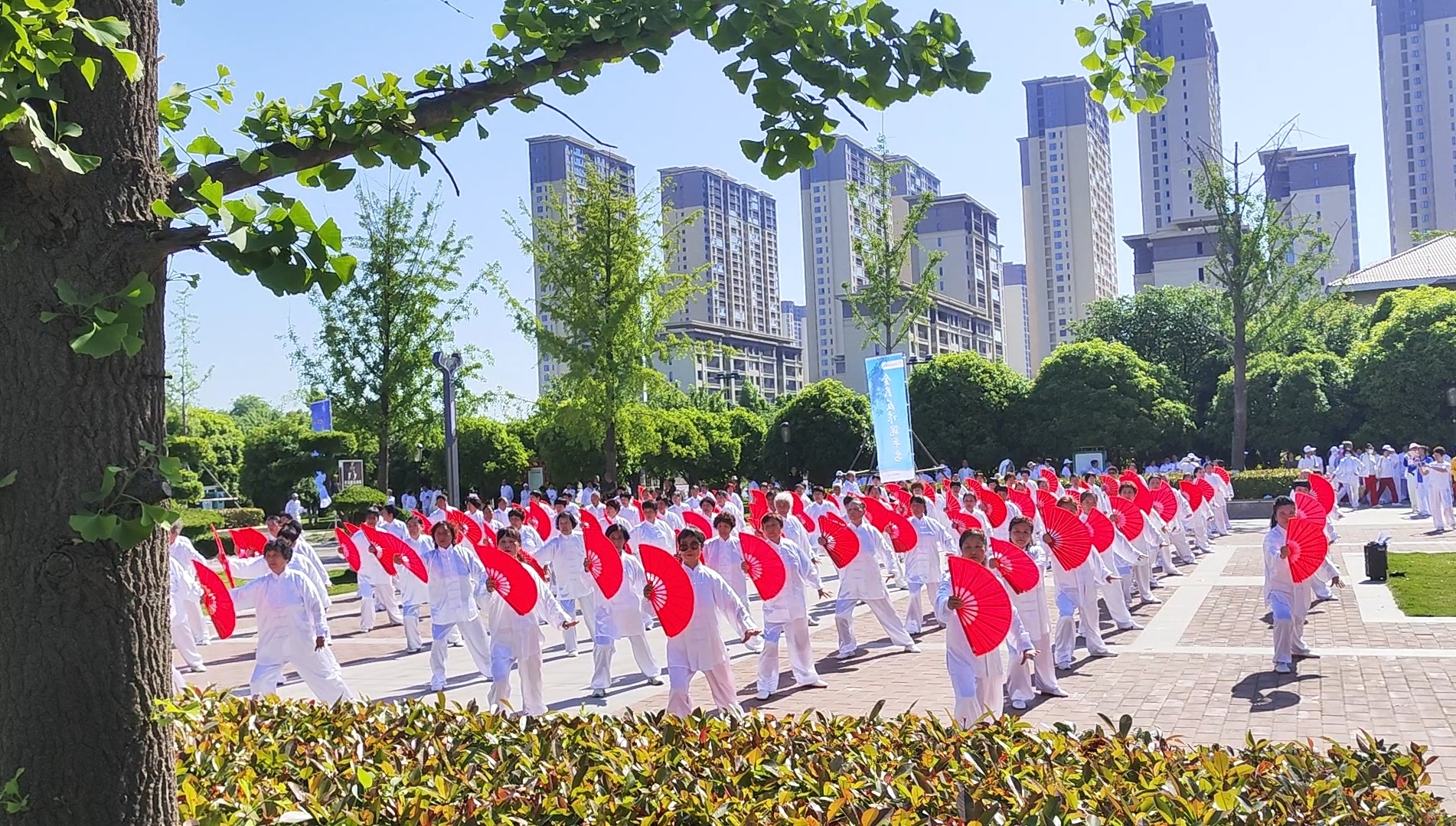 微信图片_20260506112505_250_3