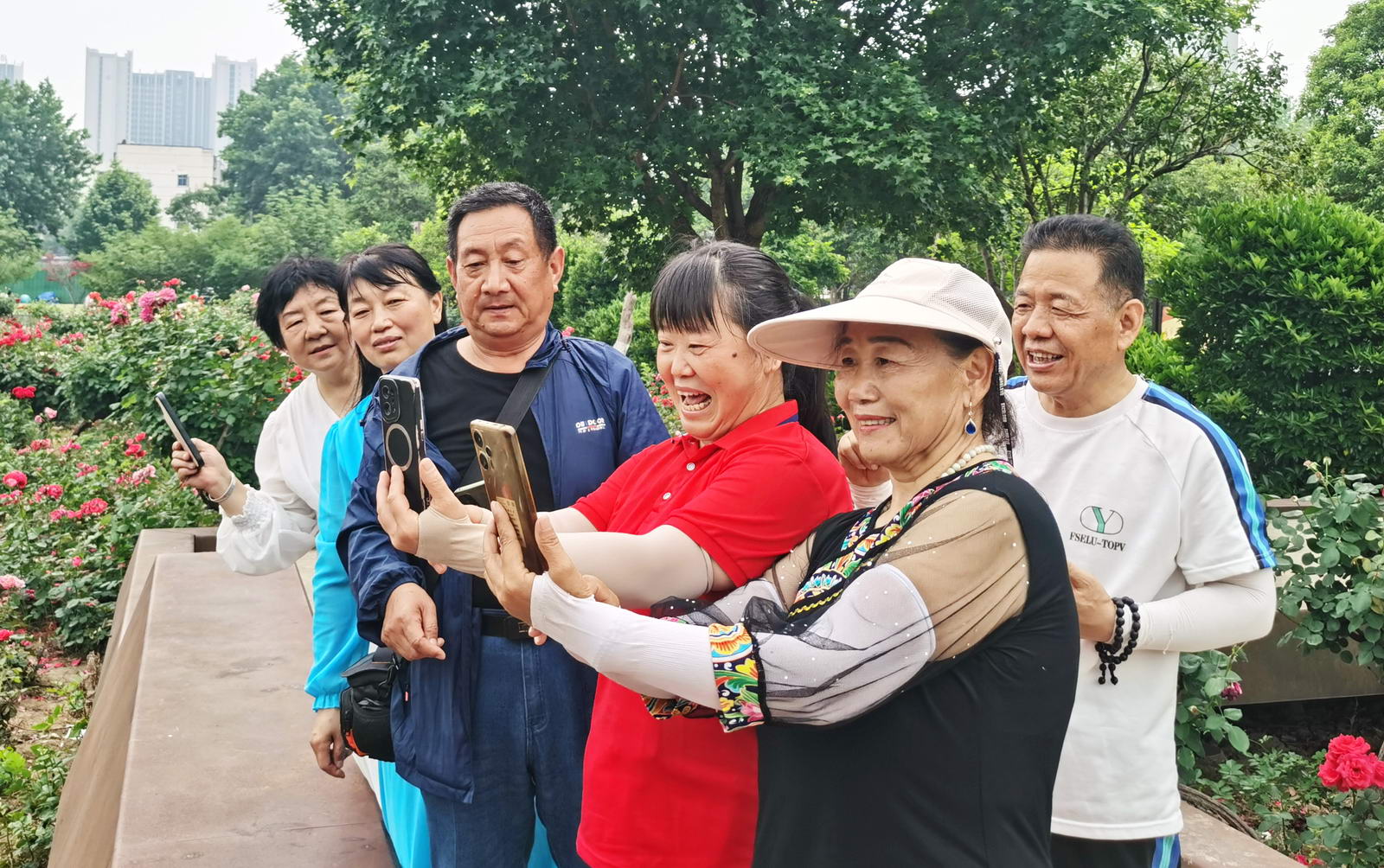 微信图片_20260513145045