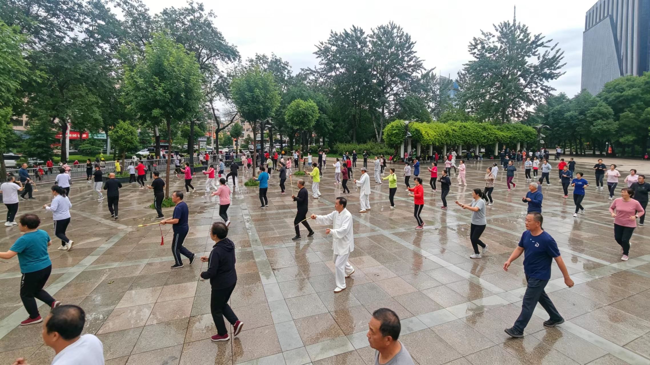 微信图片_20260518081959_140_1685