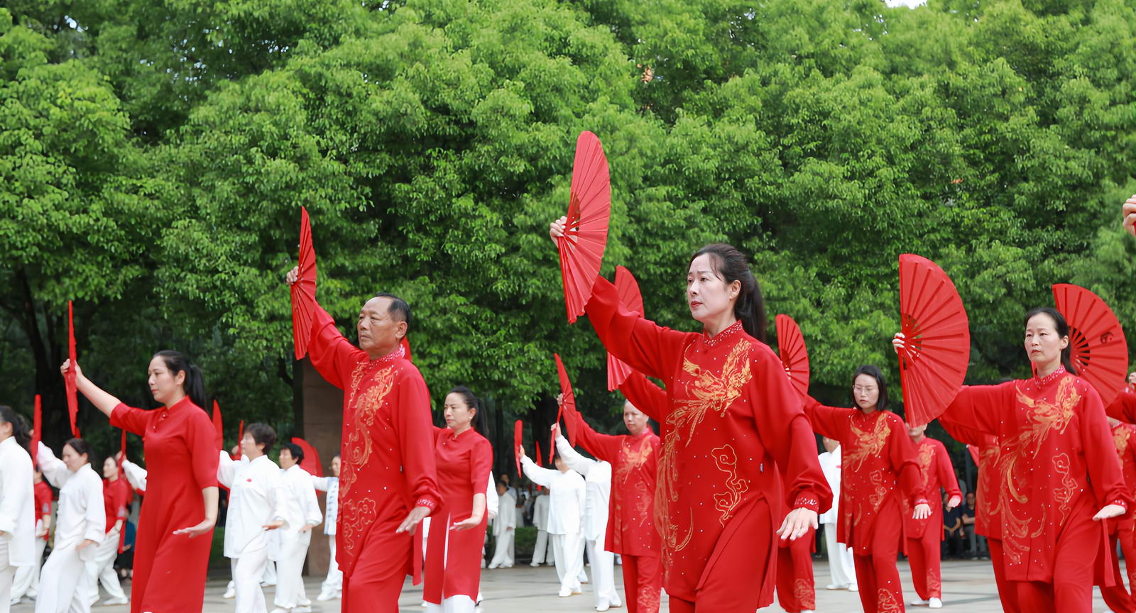 微信图片_20260519142955
