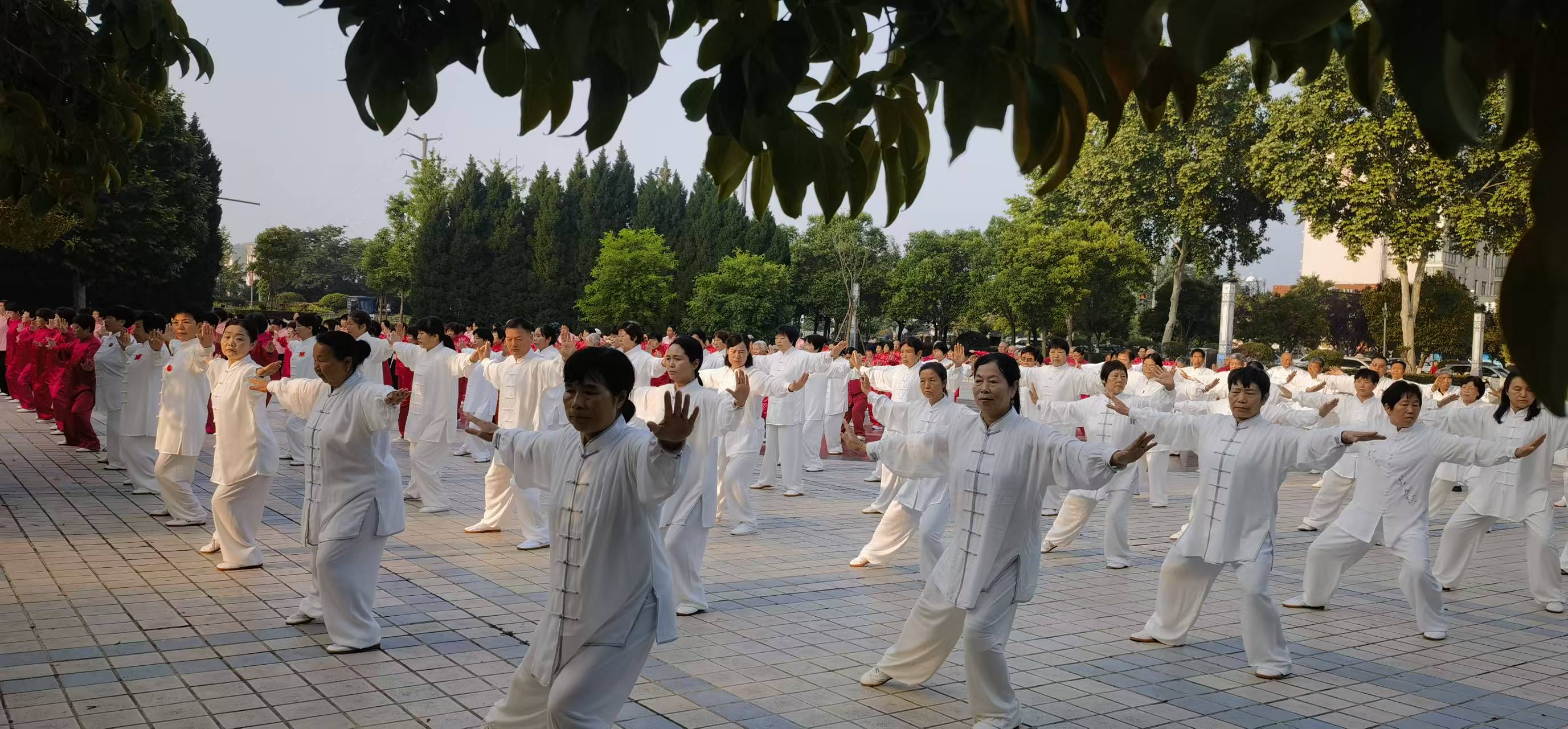 微信图片_20260525110807_1435_14
