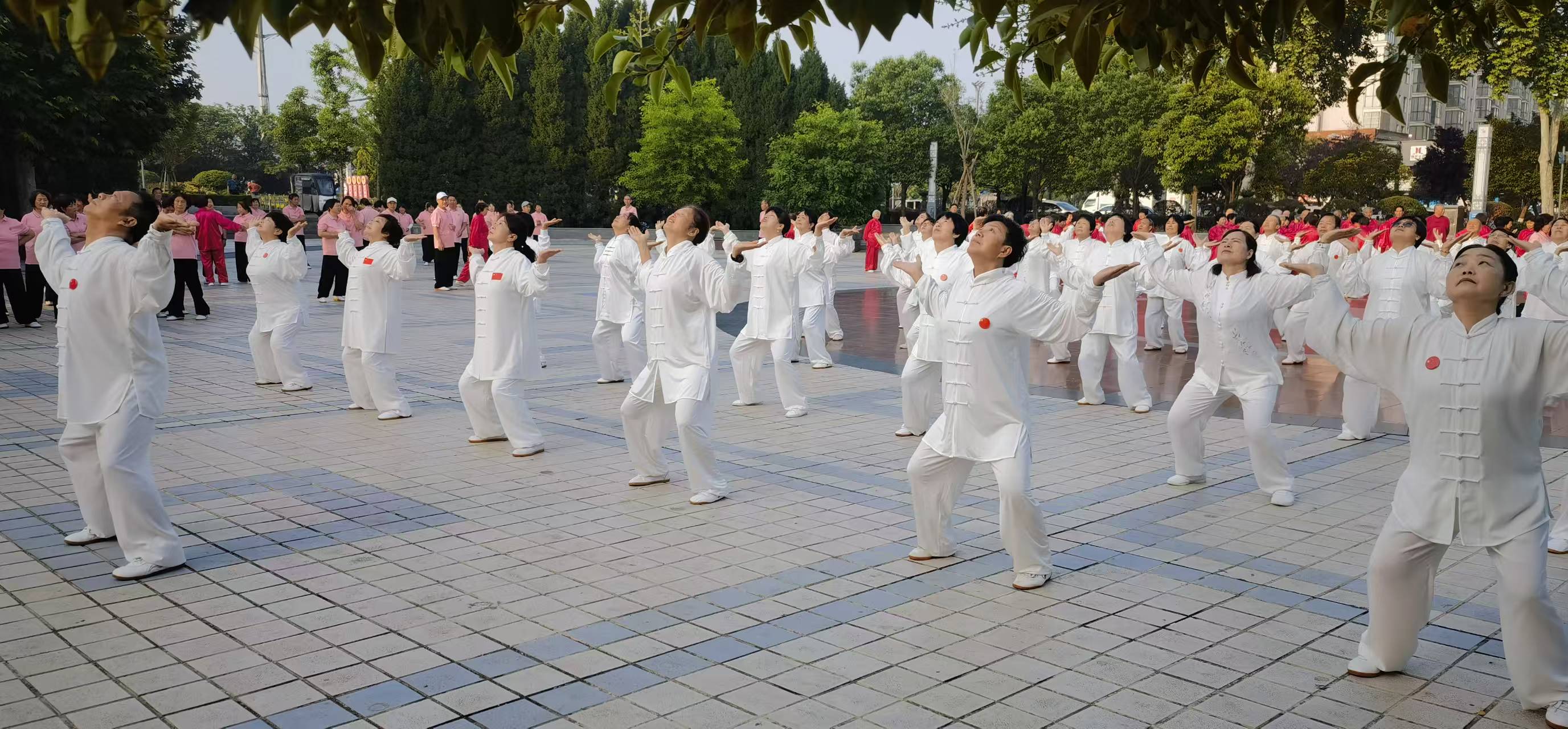 微信图片_20260525110817_1437_14