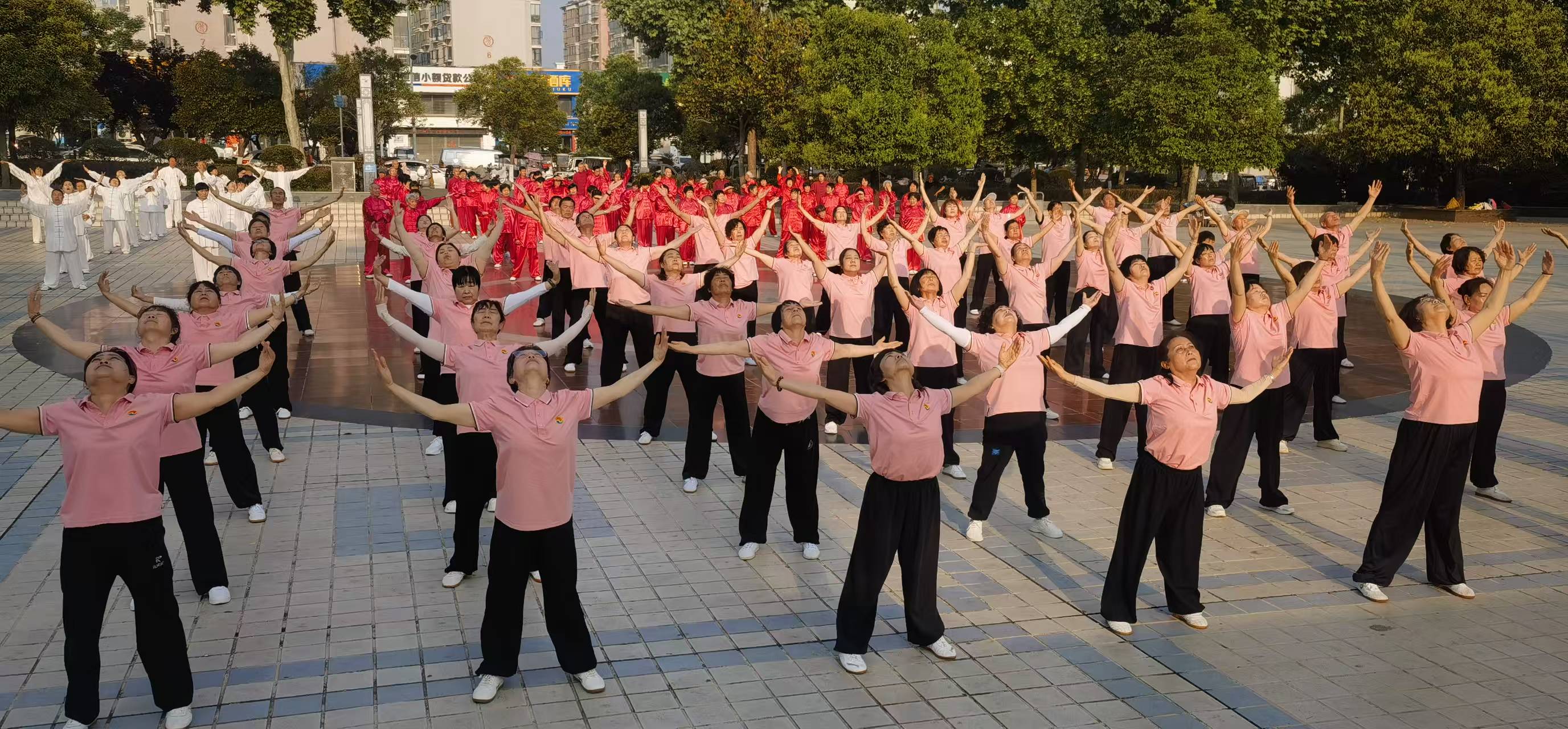微信图片_20260525110821_1438_14