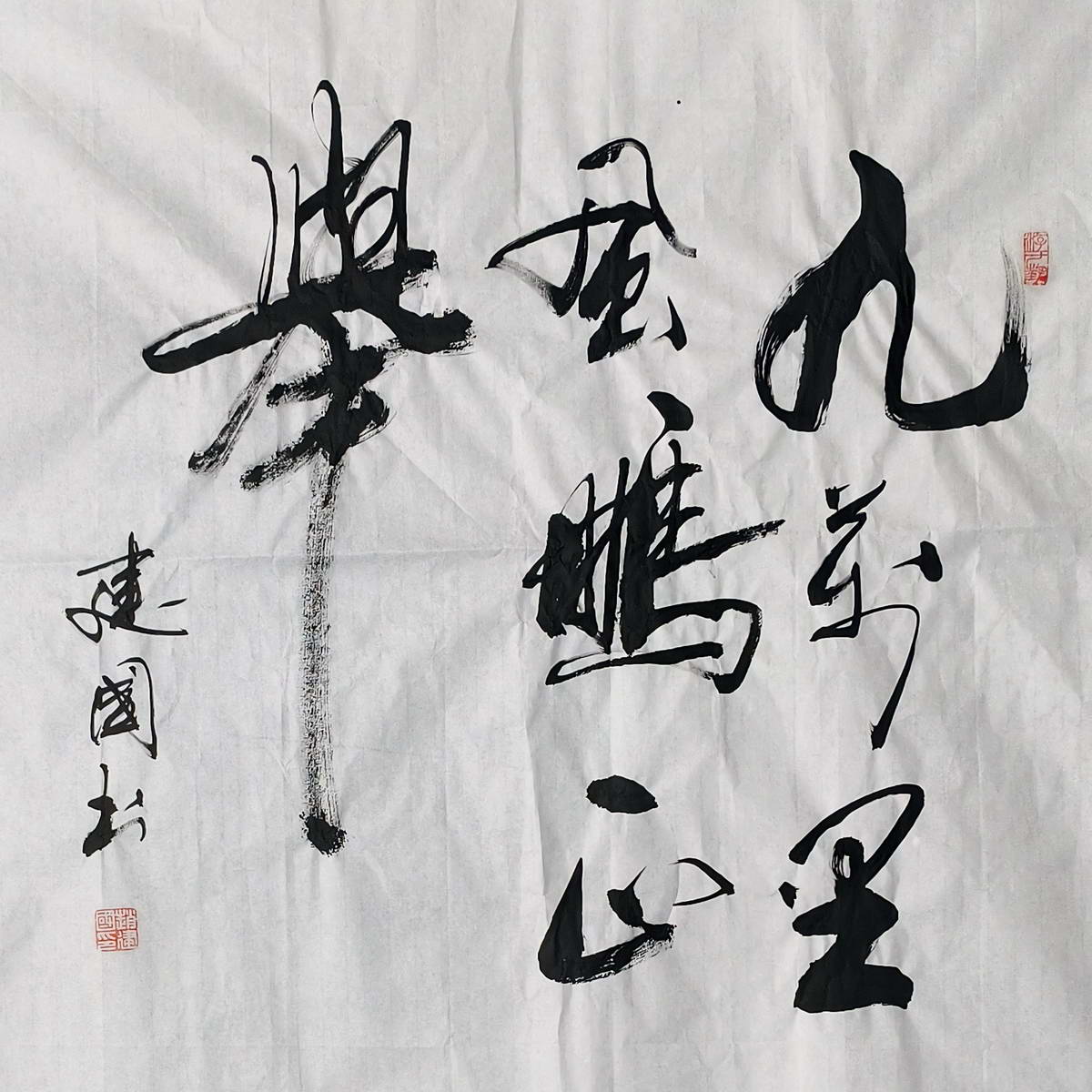 作者：赵建国