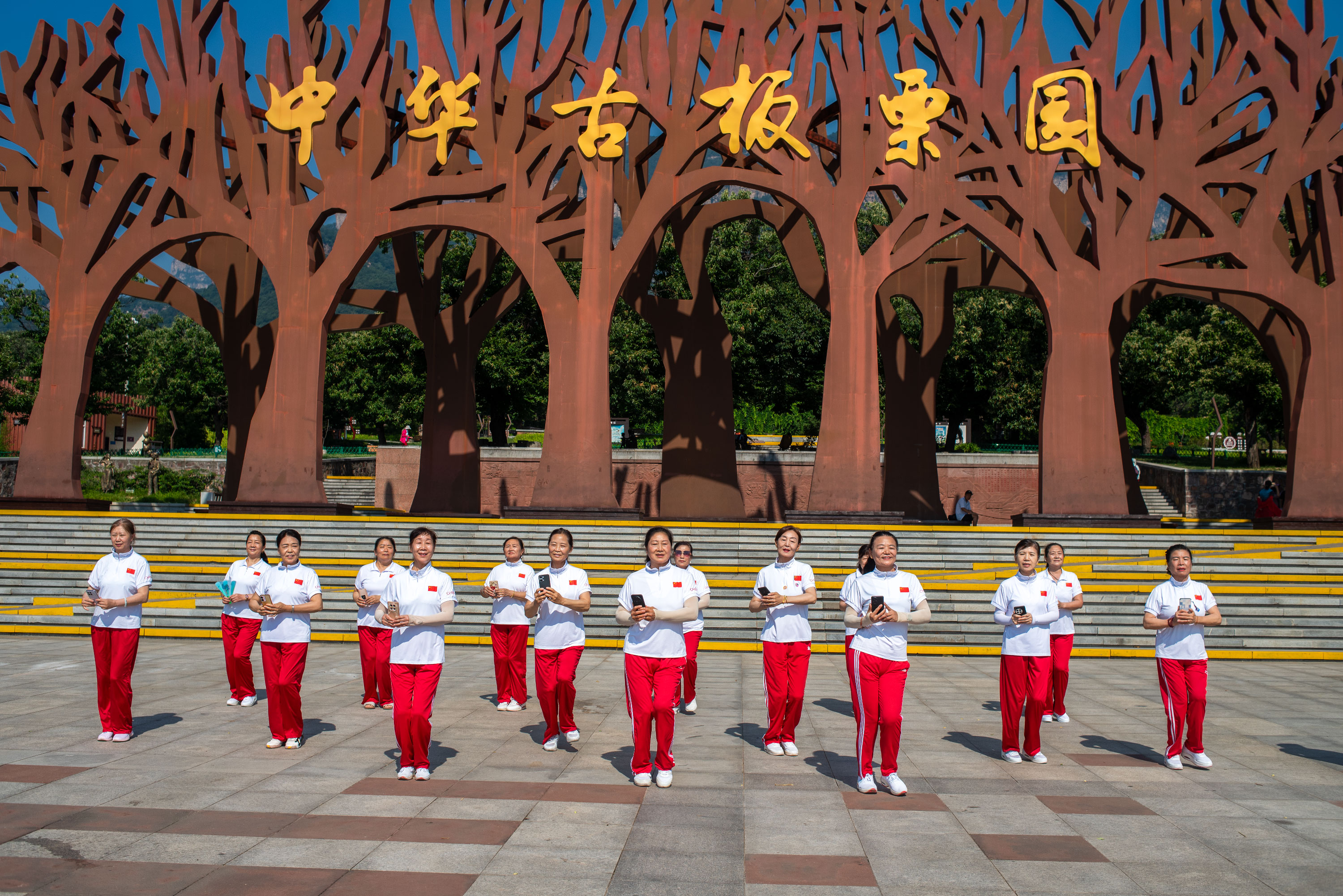 微信图片_20260618061443_12_2572