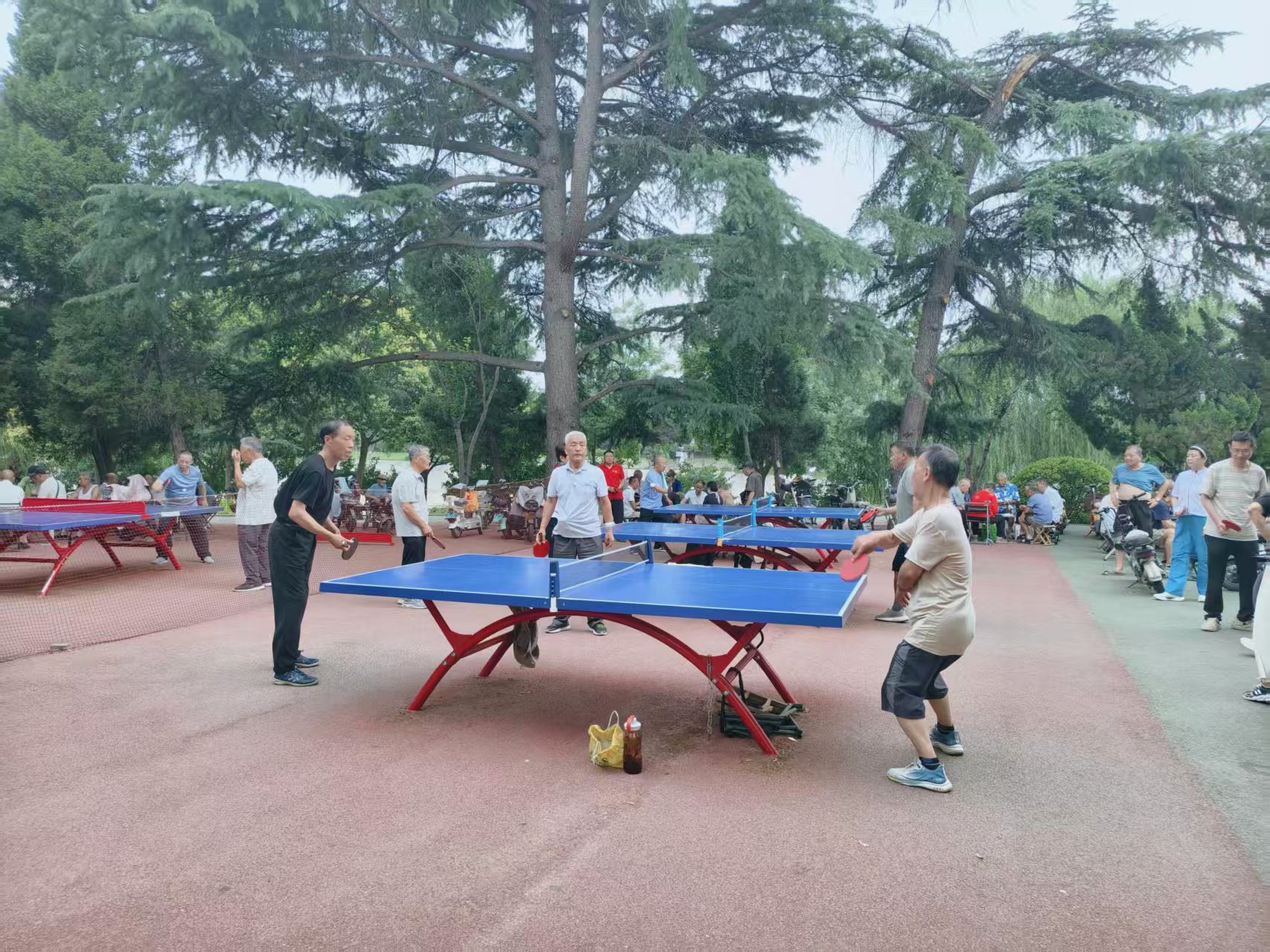 微信图片_20260630105253_1577_396