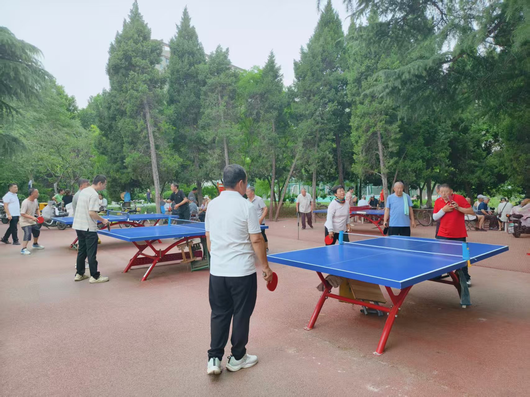 微信图片_20260630105259_1578_396