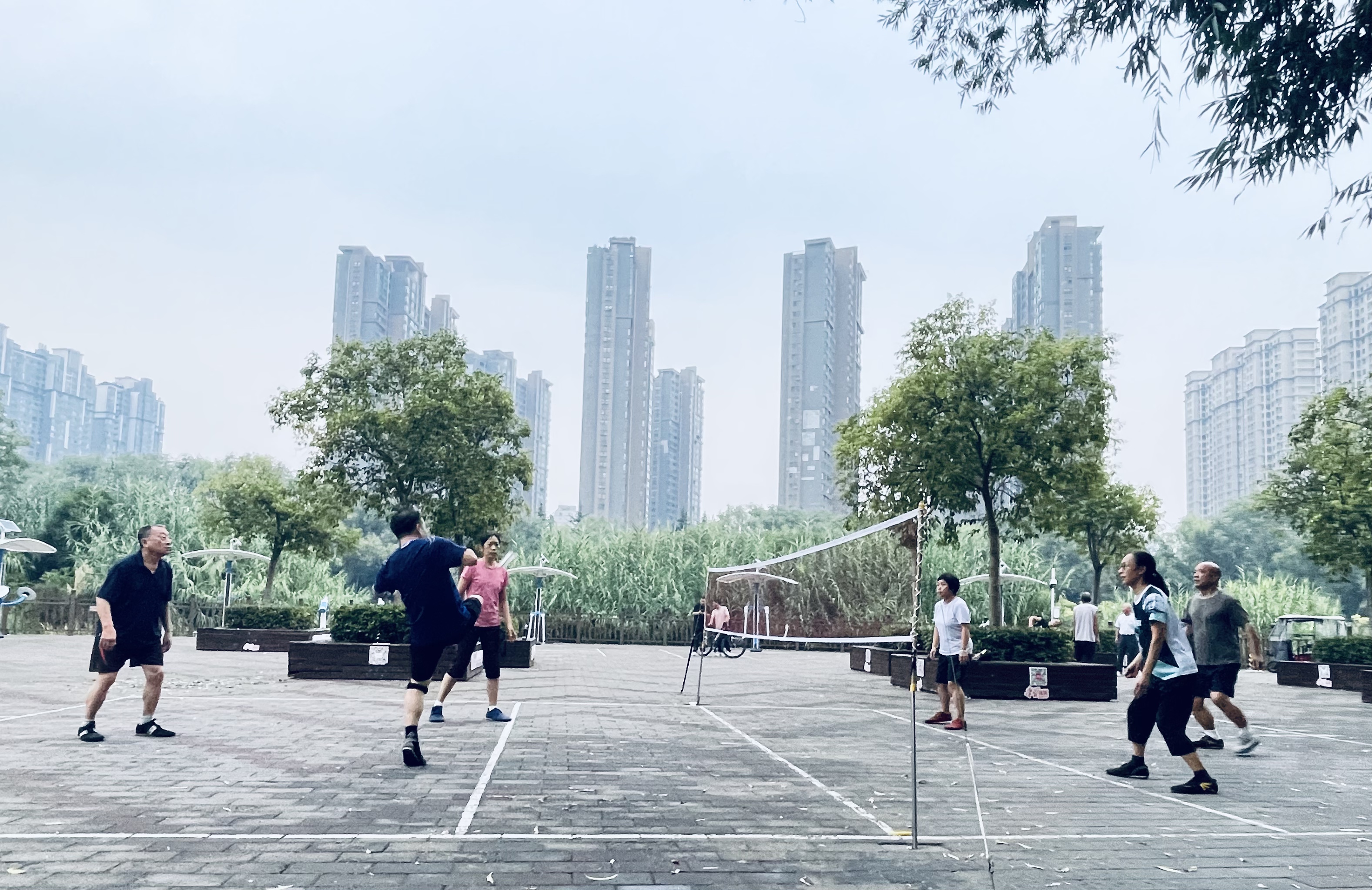 微信图片_20260909144939_2518_14