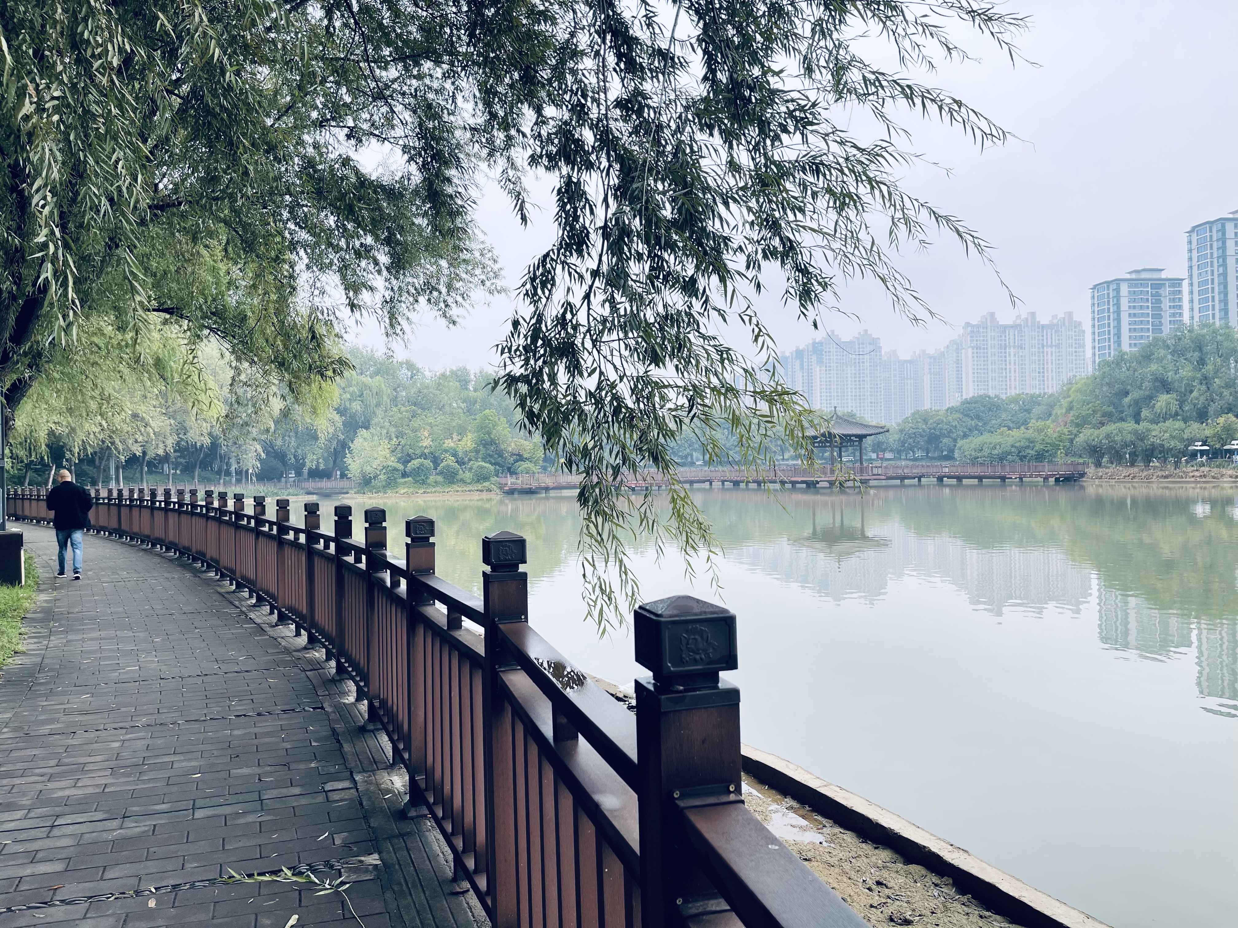微信图片_20261008224433_2710_14