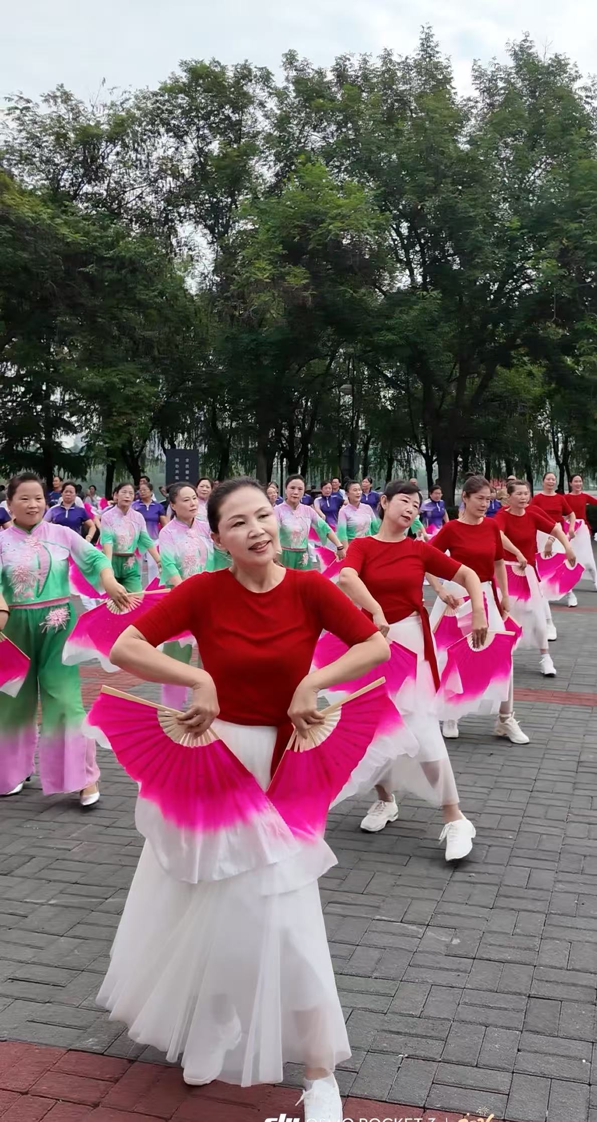 微信图片_20261014183450_2812_14