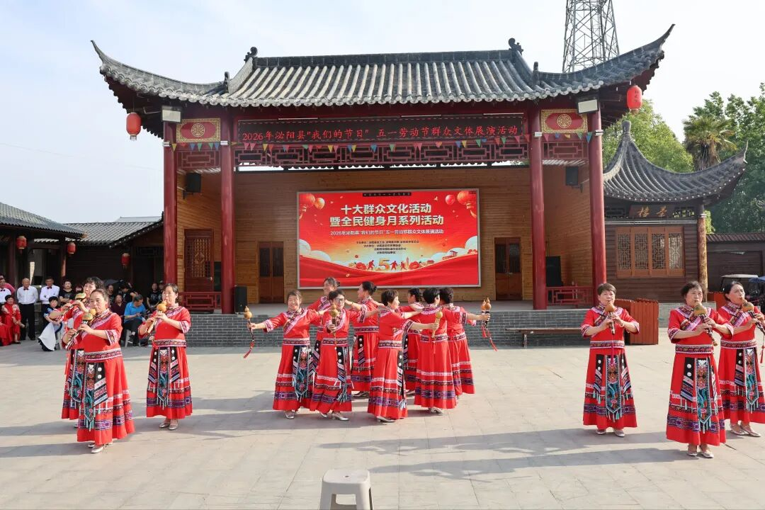 图片4