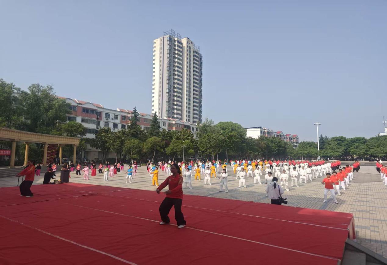 图片8