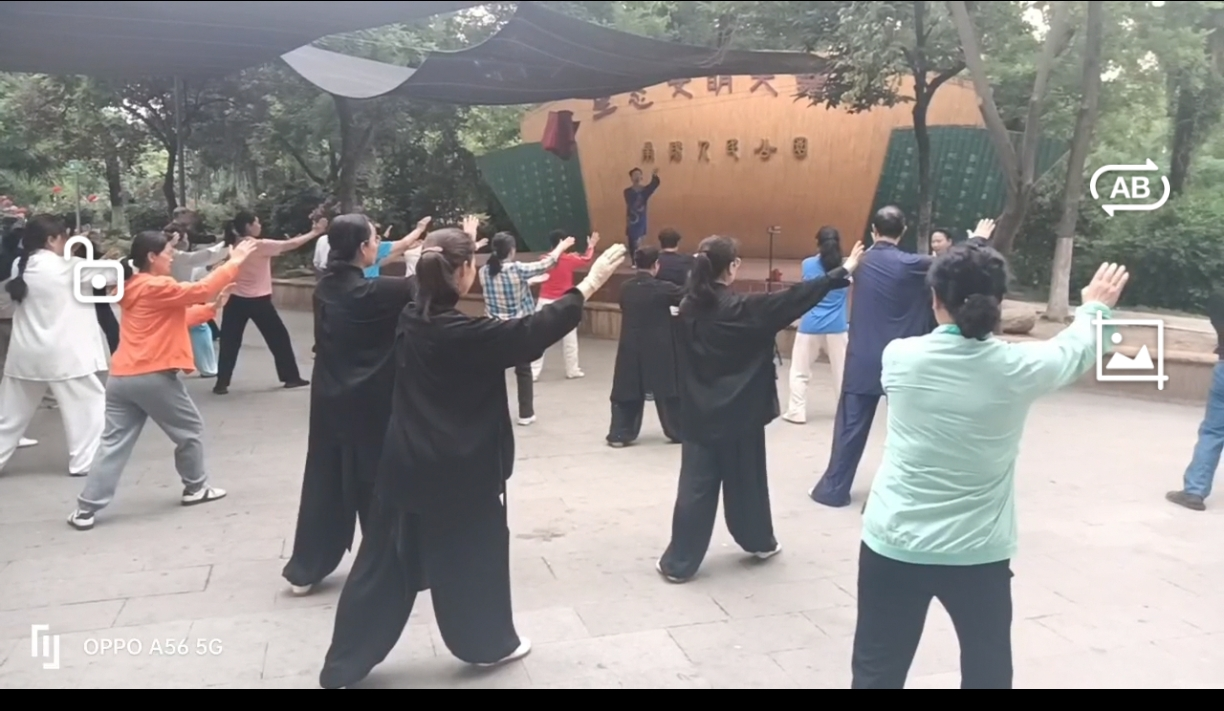 图片3