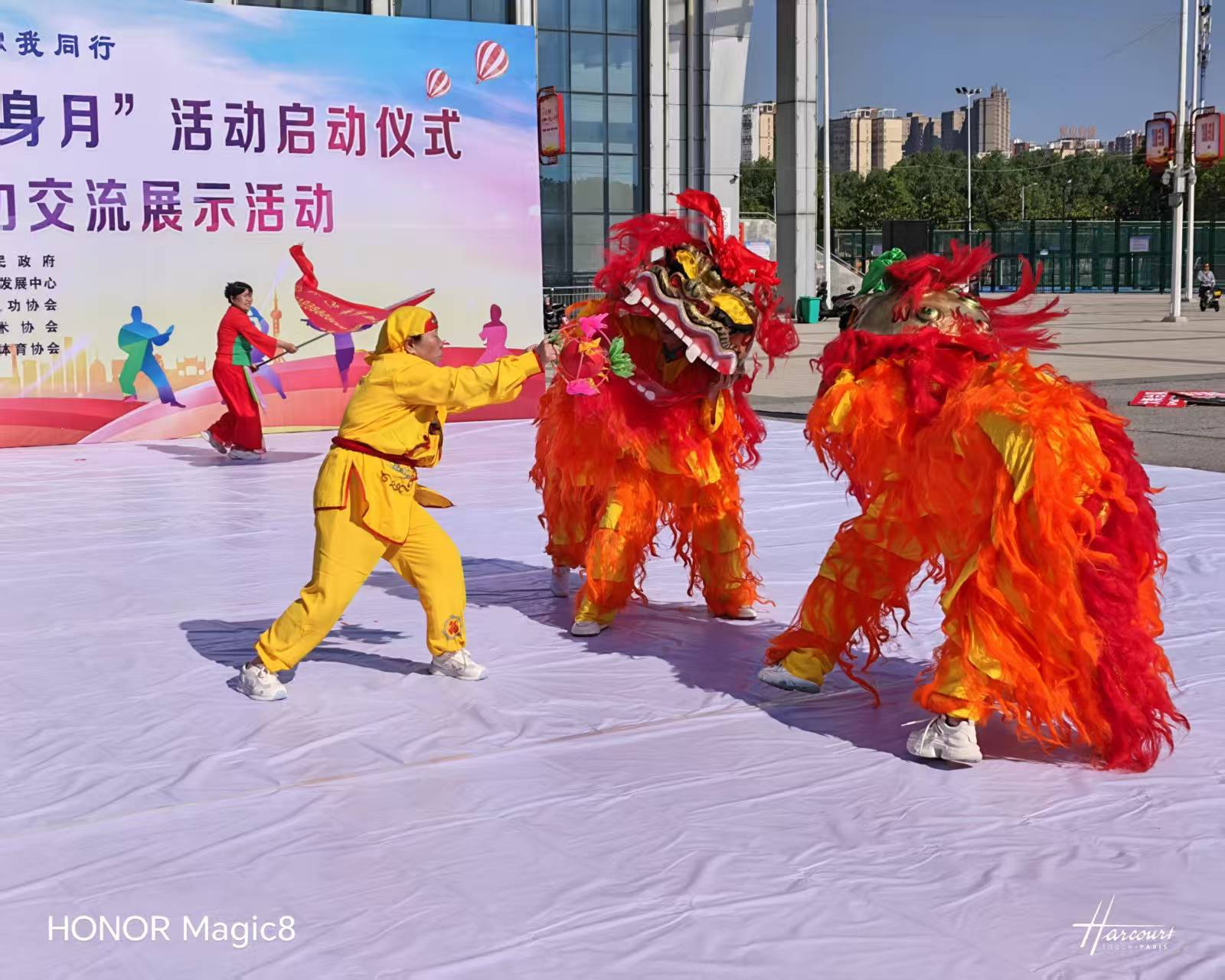 图片14