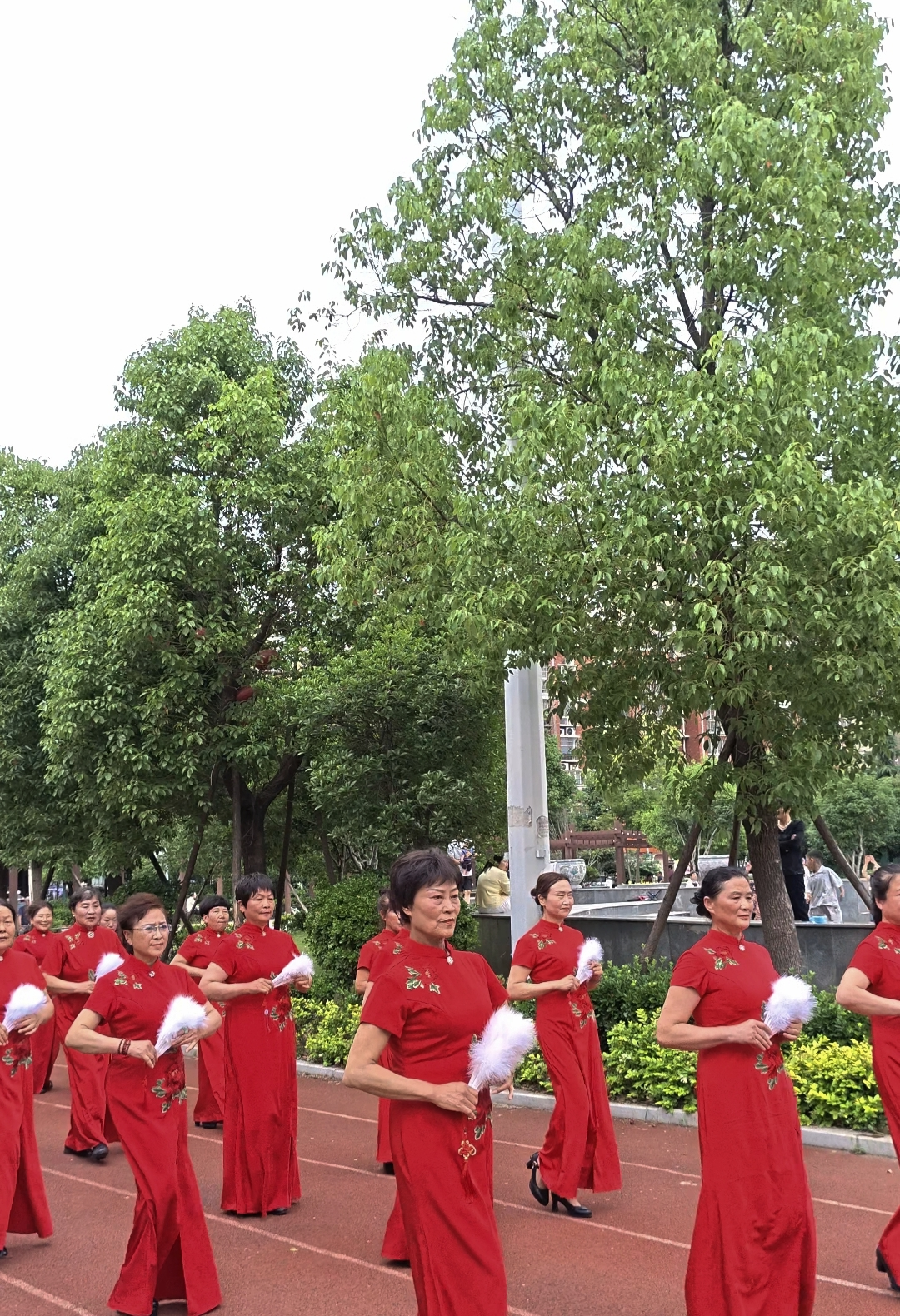 图片3