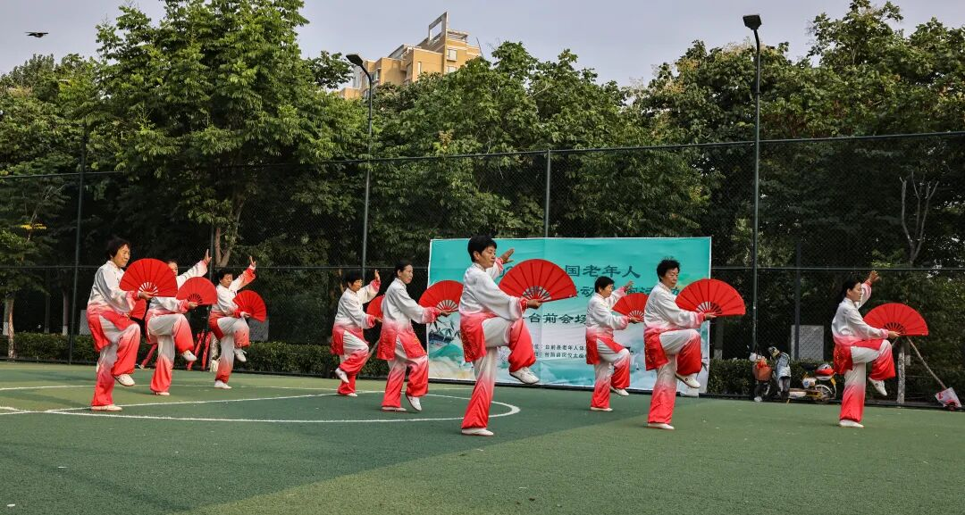 图片4