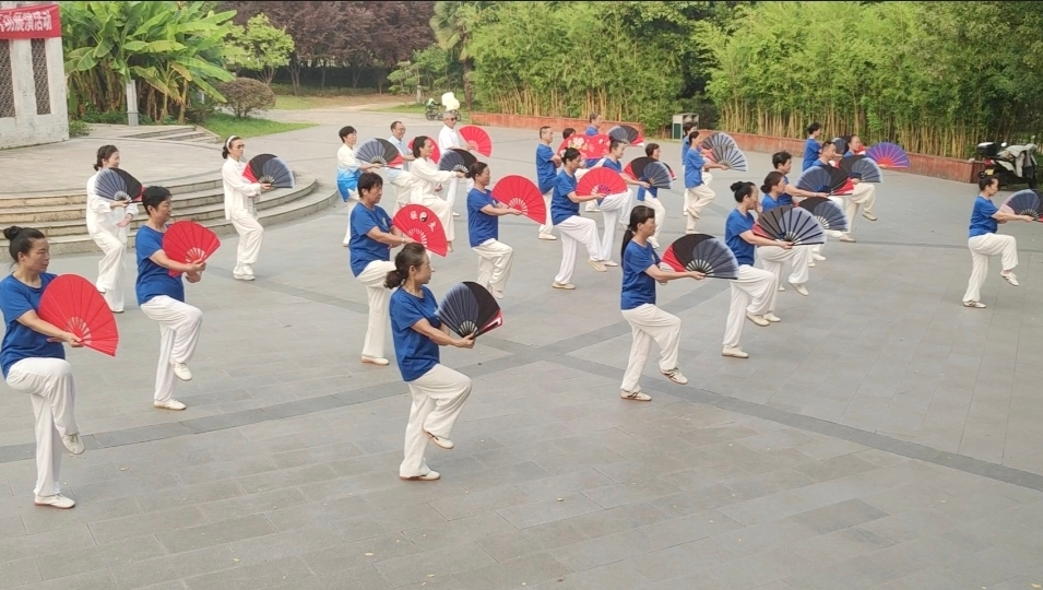 图片7