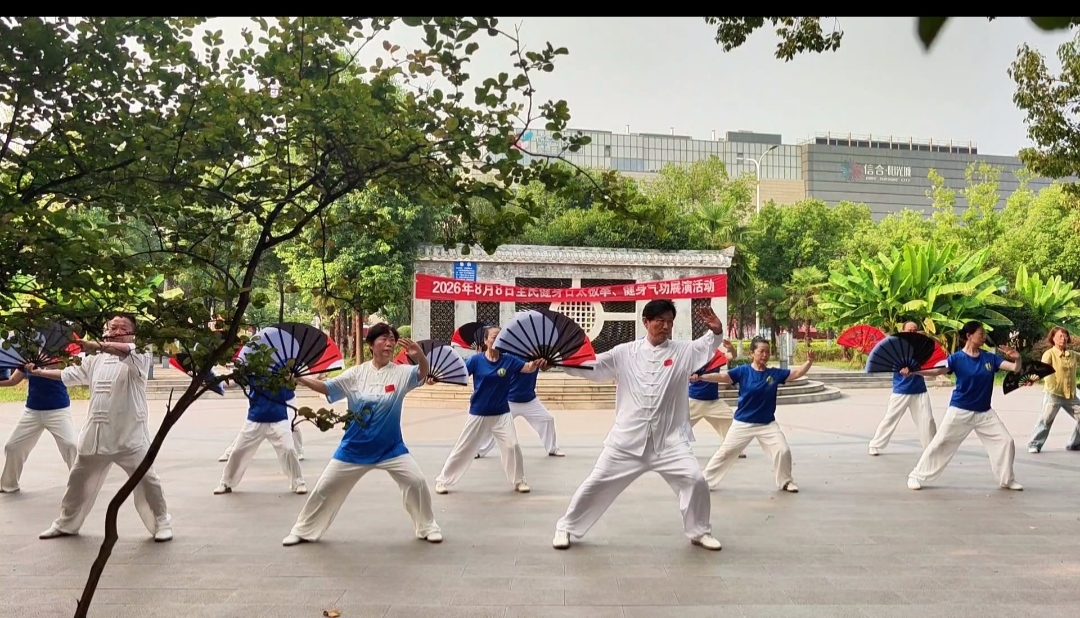 图片8